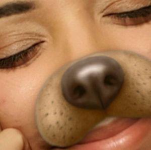 Meet your Posher, Jackson